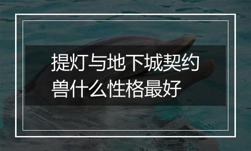 提灯与地下城契约兽什么性格最好