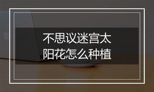 不思议迷宫太阳花怎么种植