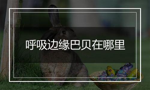 呼吸边缘巴贝在哪里