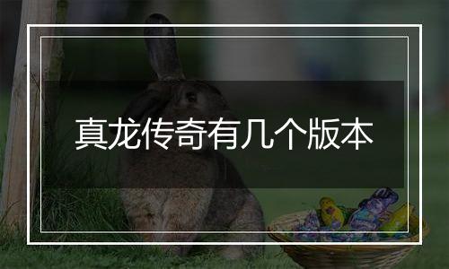 真龙传奇有几个版本