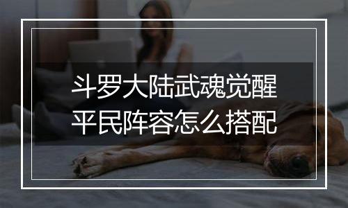 斗罗大陆武魂觉醒平民阵容怎么搭配