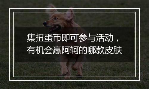 集扭蛋币即可参与活动，有机会赢阿轲的哪款皮肤