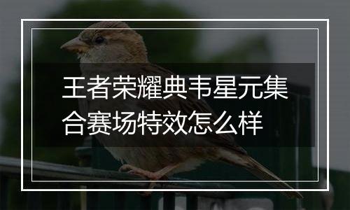 王者荣耀典韦星元集合赛场特效怎么样