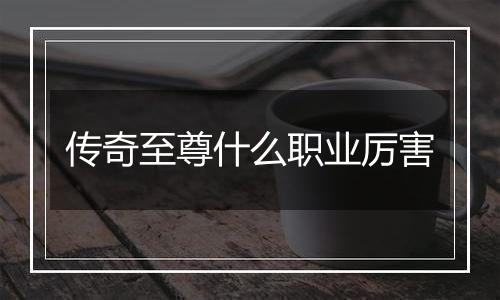 传奇至尊什么职业厉害