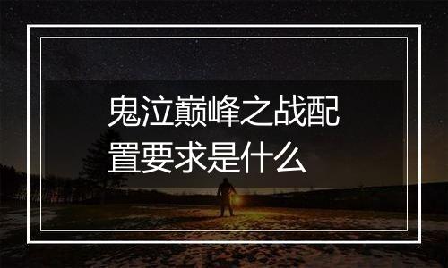 鬼泣巅峰之战配置要求是什么