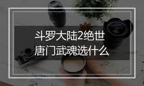 斗罗大陆2绝世唐门武魂选什么