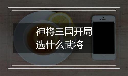 神将三国开局选什么武将