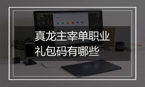 真龙主宰单职业礼包码有哪些