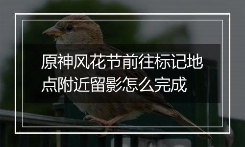 原神风花节前往标记地点附近留影怎么完成