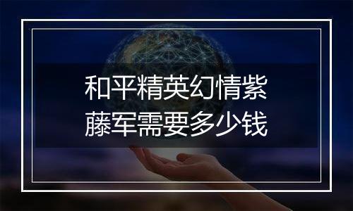 和平精英幻情紫藤军需要多少钱