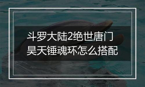 斗罗大陆2绝世唐门昊天锤魂环怎么搭配