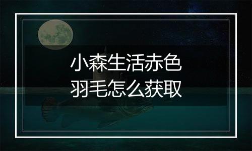 小森生活赤色羽毛怎么获取