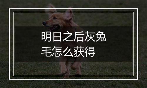 明日之后灰兔毛怎么获得