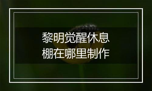 黎明觉醒休息棚在哪里制作