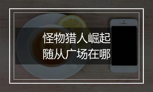 怪物猎人崛起随从广场在哪