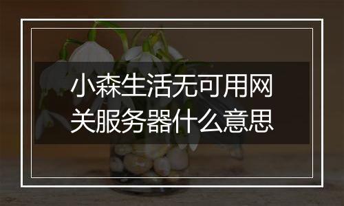 小森生活无可用网关服务器什么意思