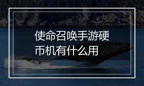 使命召唤手游硬币机有什么用