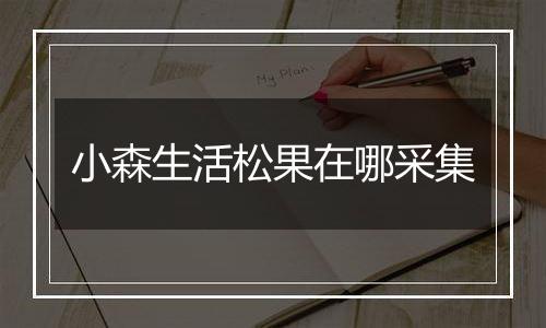 小森生活松果在哪采集