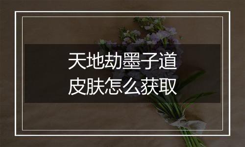 天地劫墨子道皮肤怎么获取