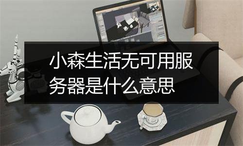 小森生活无可用服务器是什么意思