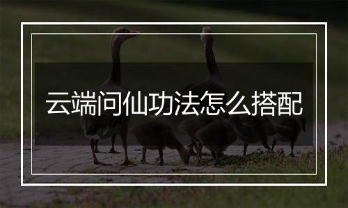 云端问仙功法怎么搭配