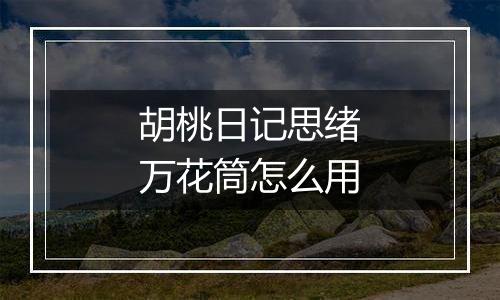 胡桃日记思绪万花筒怎么用