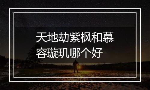 天地劫紫枫和慕容璇玑哪个好