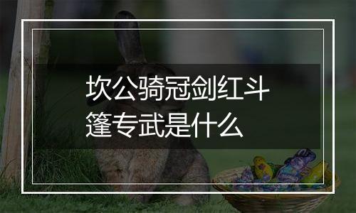 坎公骑冠剑红斗篷专武是什么