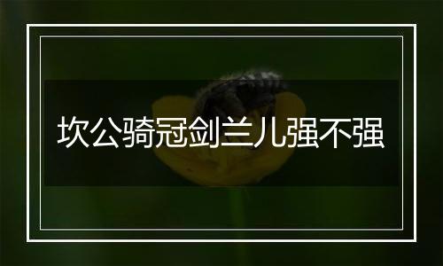 坎公骑冠剑兰儿强不强