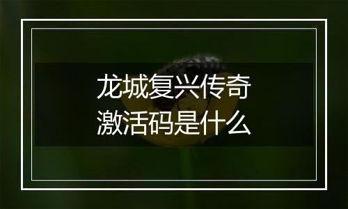龙城复兴传奇激活码是什么