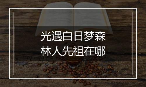 光遇白日梦森林人先祖在哪