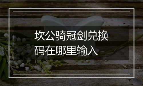 坎公骑冠剑兑换码在哪里输入