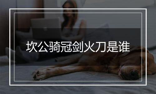 坎公骑冠剑火刀是谁