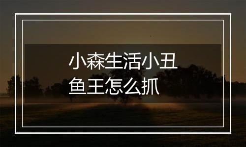 小森生活小丑鱼王怎么抓