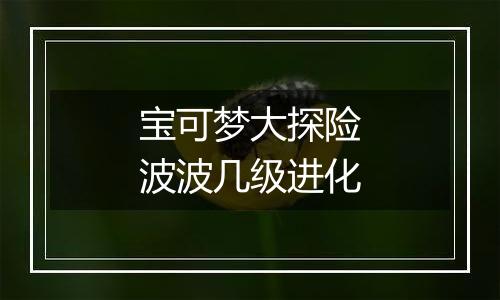 宝可梦大探险波波几级进化