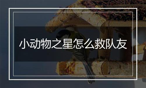 小动物之星怎么救队友