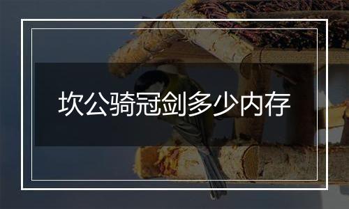 坎公骑冠剑多少内存