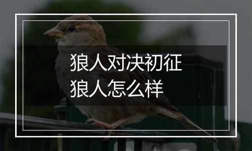 狼人对决初征狼人怎么样