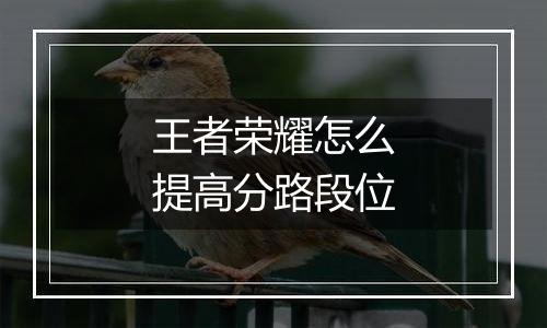王者荣耀怎么提高分路段位
