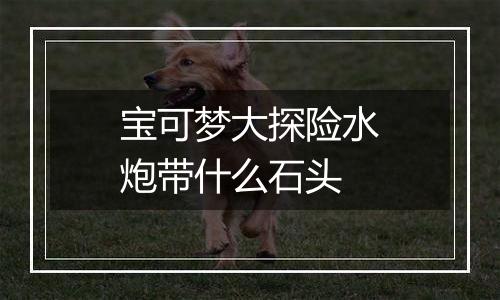 宝可梦大探险水炮带什么石头