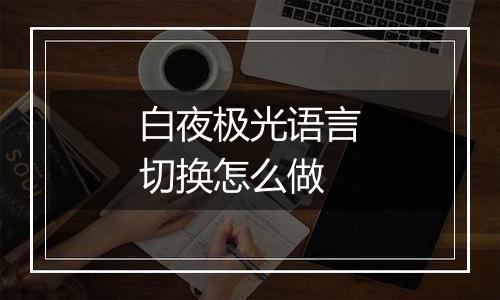 白夜极光语言切换怎么做