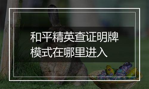 和平精英查证明牌模式在哪里进入