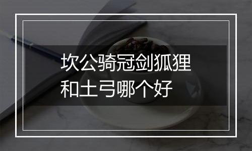 坎公骑冠剑狐狸和土弓哪个好