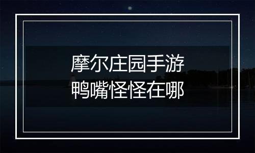 摩尔庄园手游鸭嘴怪怪在哪