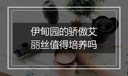 伊甸园的骄傲艾丽丝值得培养吗