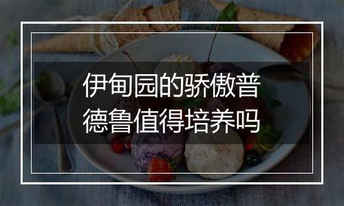 伊甸园的骄傲普德鲁值得培养吗