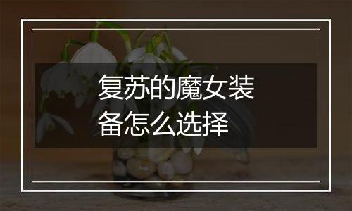 复苏的魔女装备怎么选择