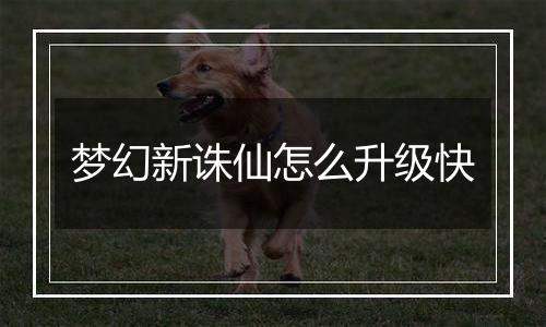 梦幻新诛仙怎么升级快