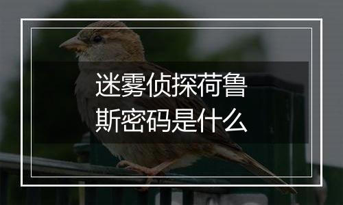 迷雾侦探荷鲁斯密码是什么