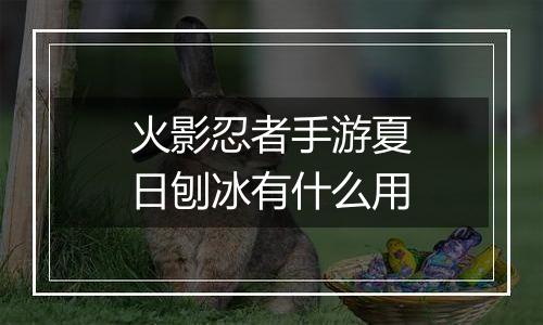 火影忍者手游夏日刨冰有什么用